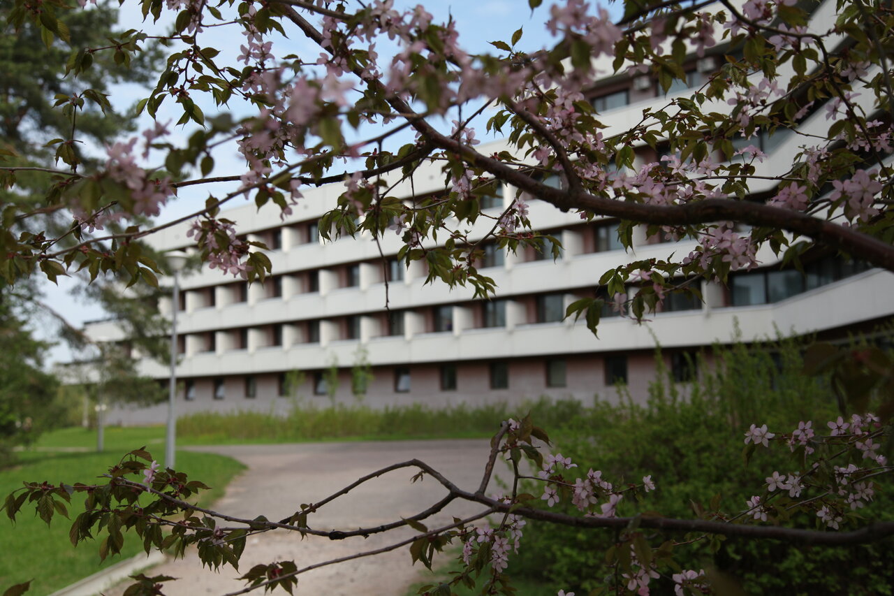 Гостиница Дюны Сестрорецк-8