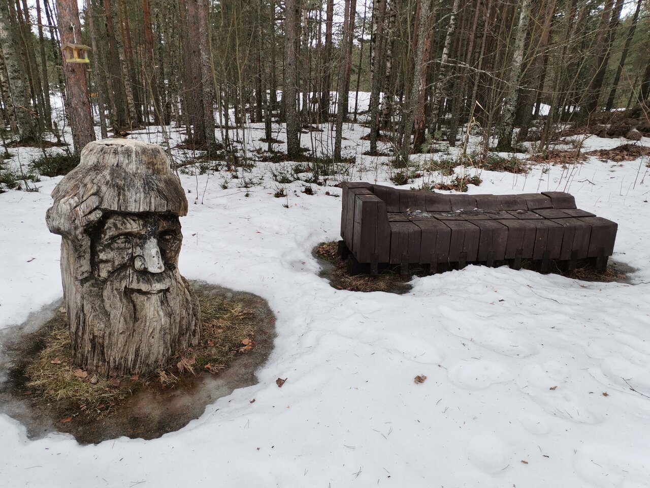 Гостиница Дюны Сестрорецк-163