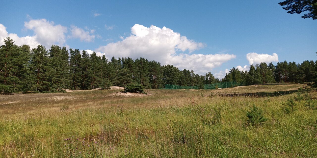 Гостиница Дюны Сестрорецк-186