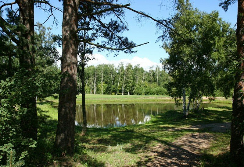 Гостиница Дюны Сестрорецк-95