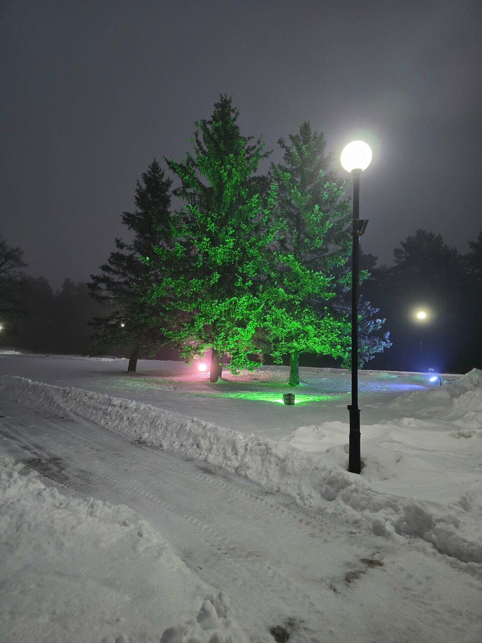 Гостиница Дюны Сестрорецк-172