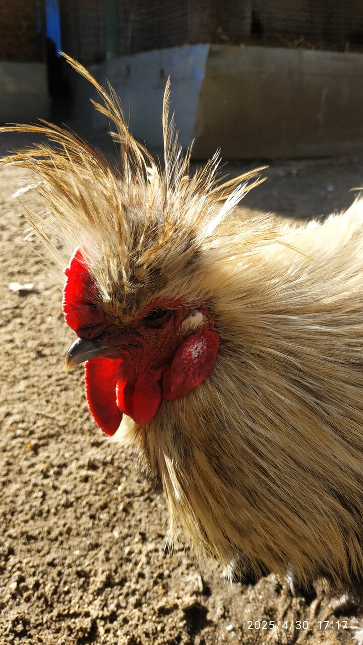 Гостиница Дюны Сестрорецк-146