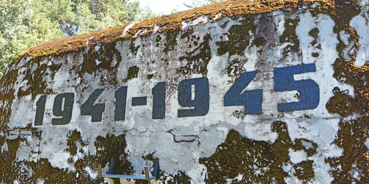 Гостиница Дюны Сестрорецк-196