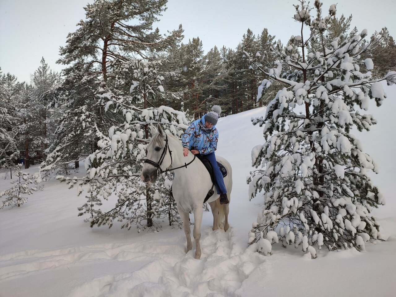 Гостиница Дюны Сестрорецк-131