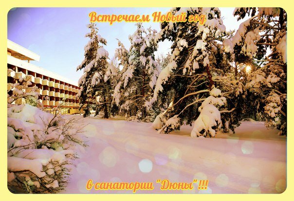 Гостиница Дюны Сестрорецк-35