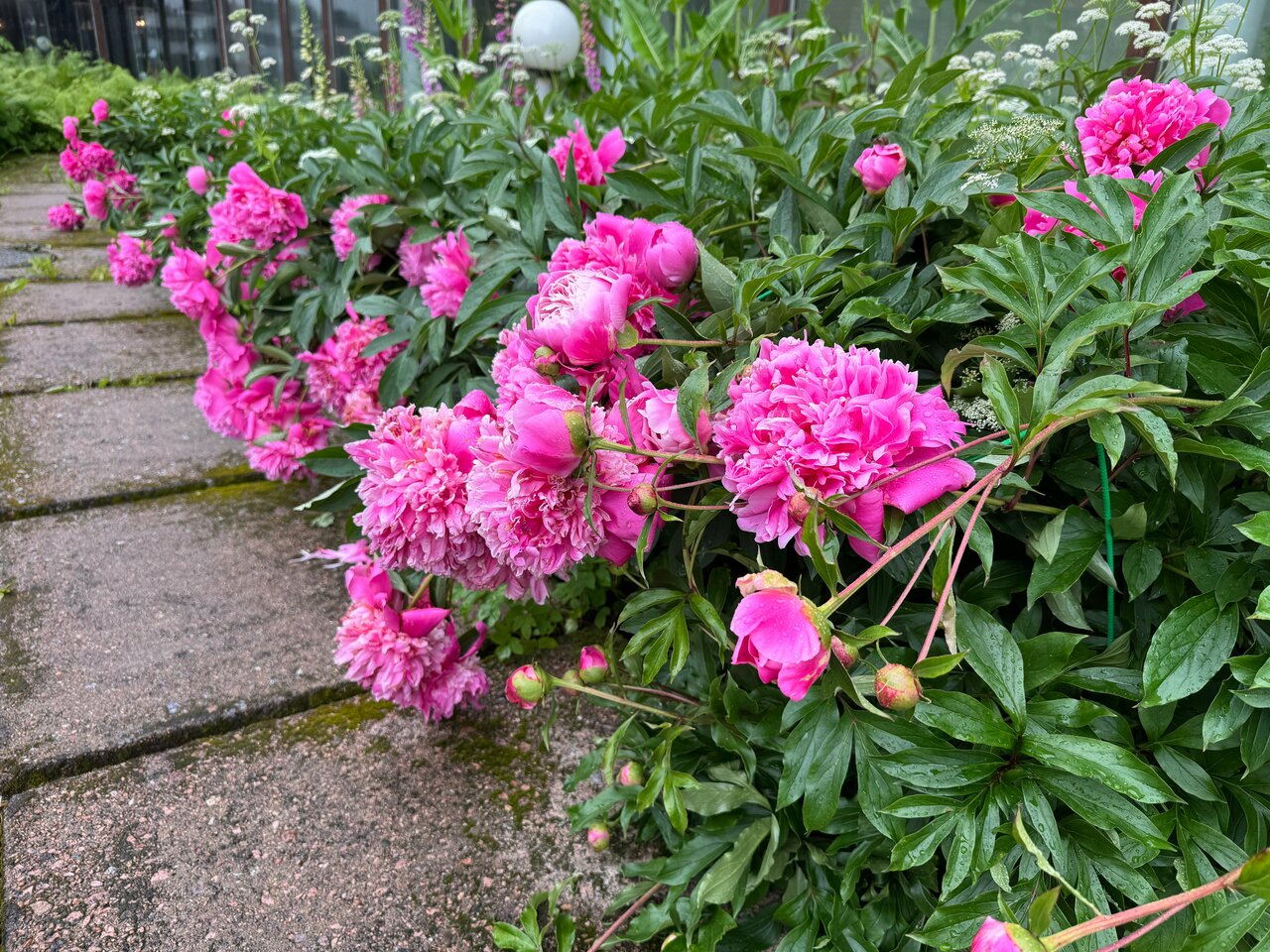 Гостиница Дюны Сестрорецк-133