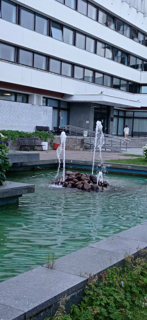 Гостиница Дюны Сестрорецк-245