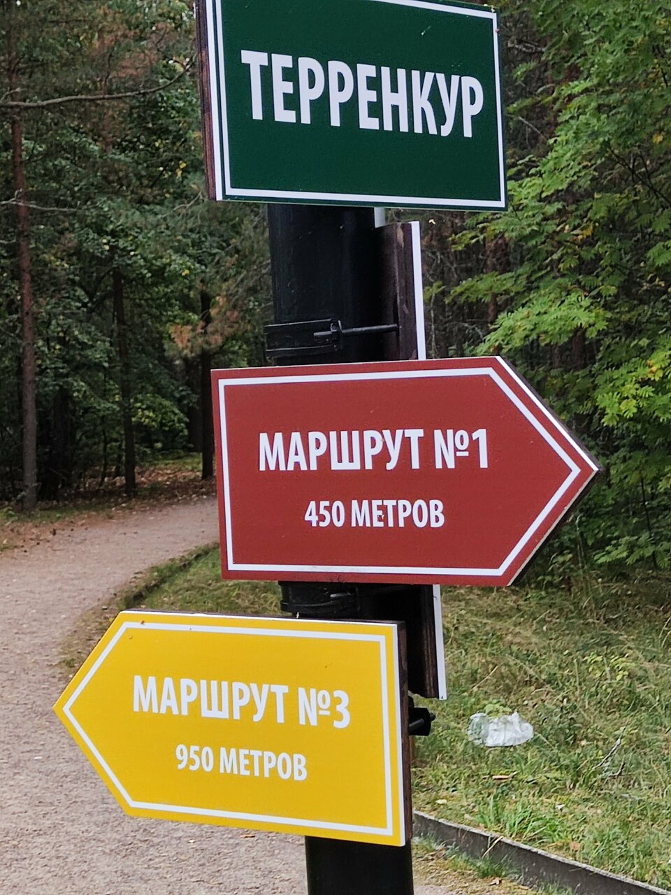 Гостиница Дюны Сестрорецк