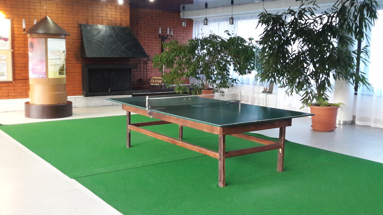 Гостиница Дюны Сестрорецк-175