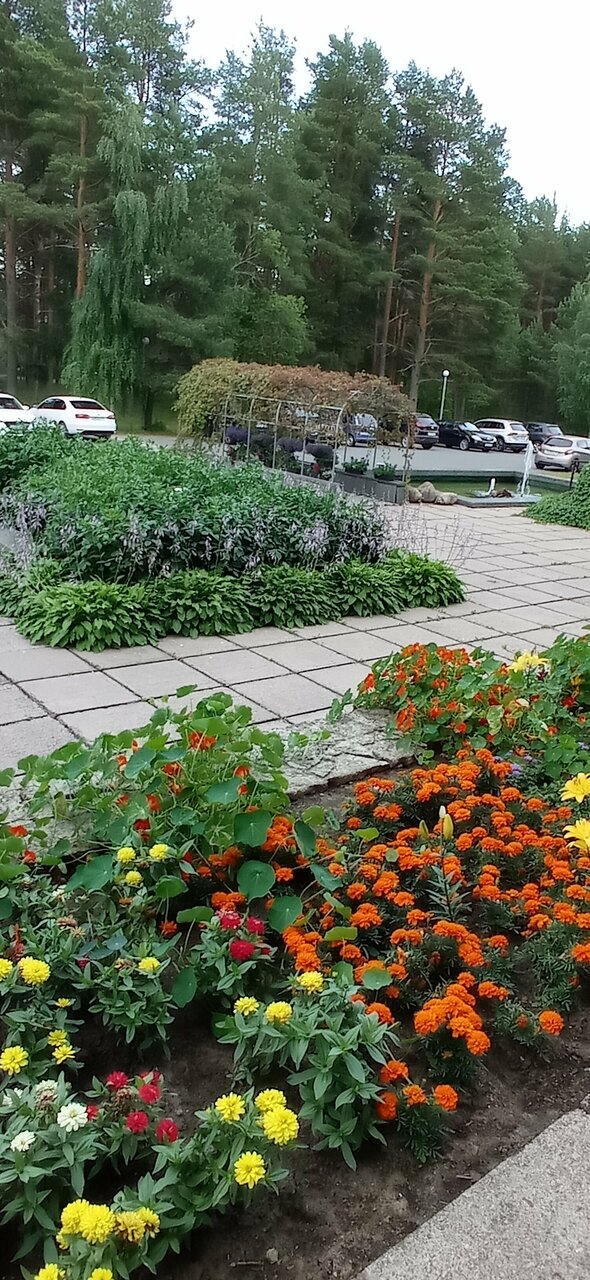 Гостиница Дюны Сестрорецк-252