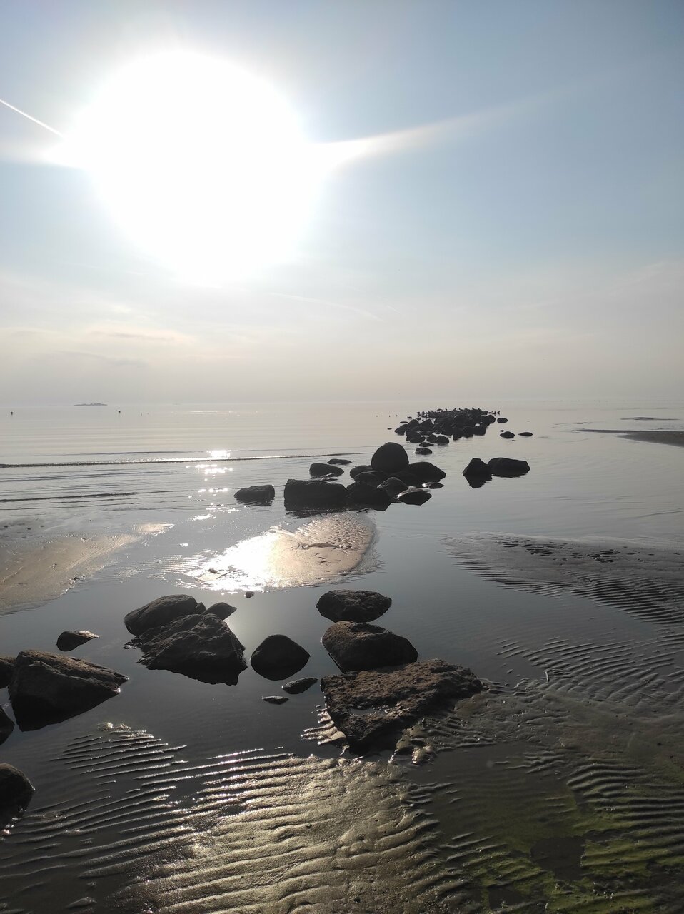 Гостиница Дюны Сестрорецк-198