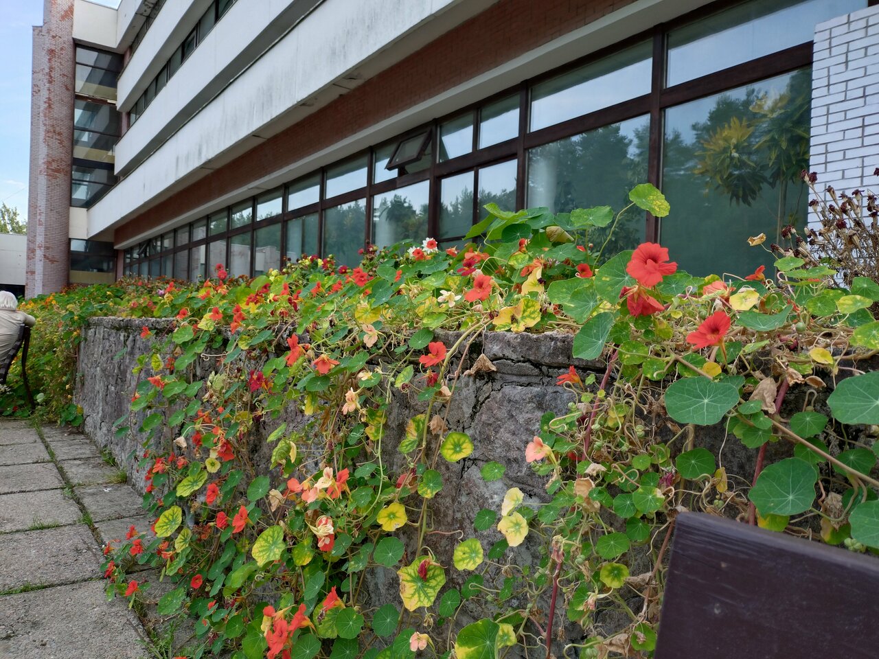 Гостиница Дюны Сестрорецк-209