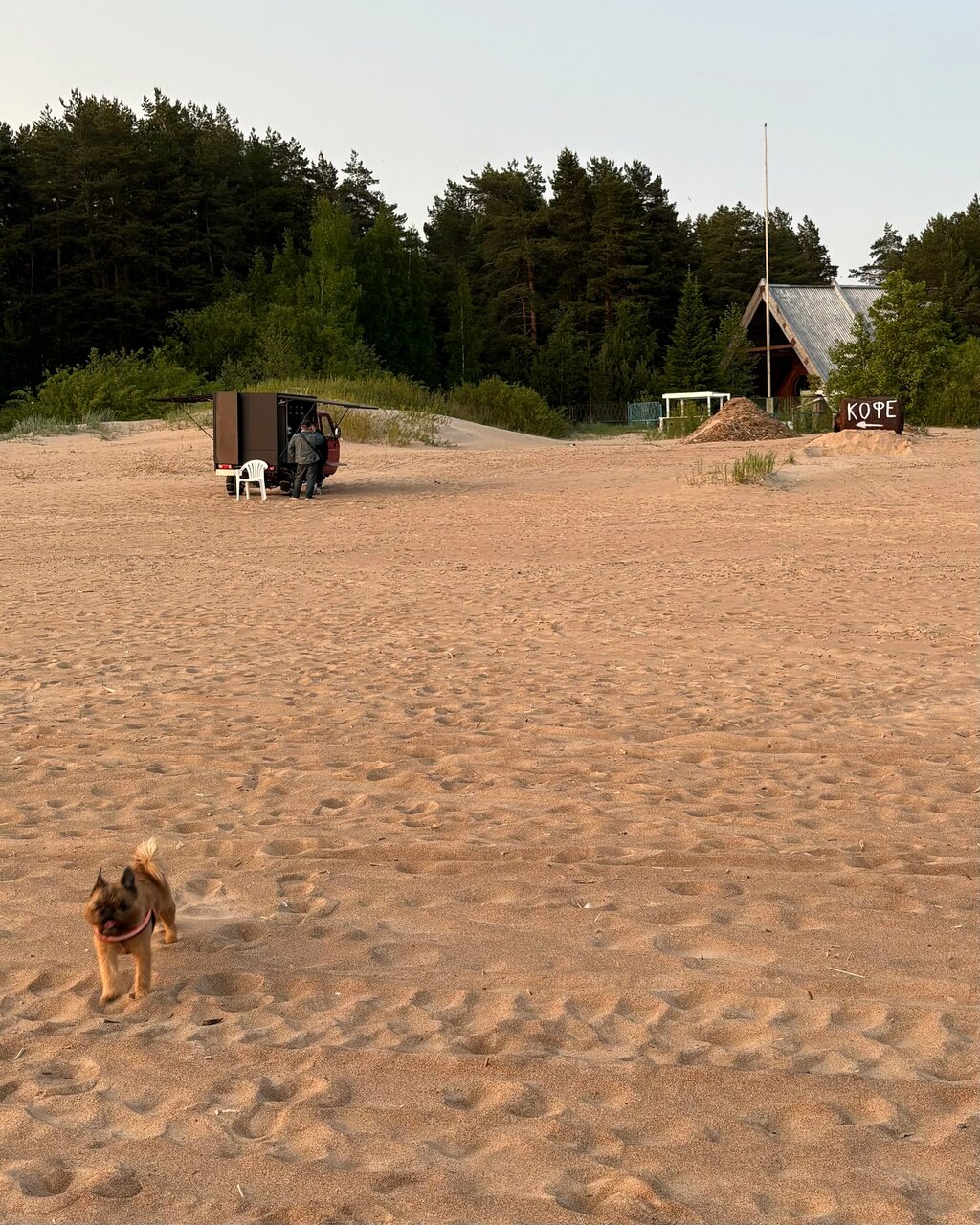 Гостиница Дюны Сестрорецк-221