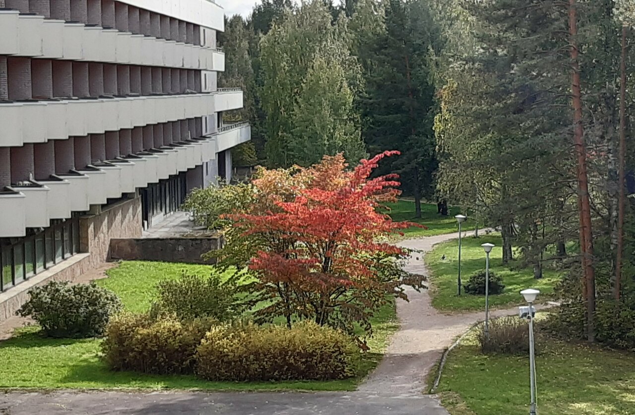 Гостиница Дюны Сестрорецк-185