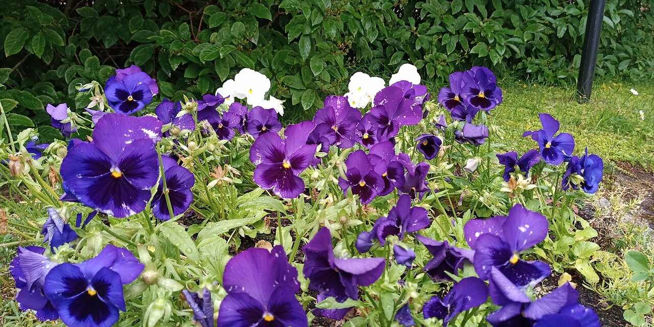 Гостиница Дюны Сестрорецк-168