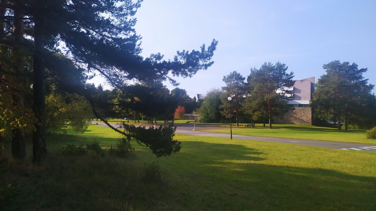 Гостиница Дюны Сестрорецк-161