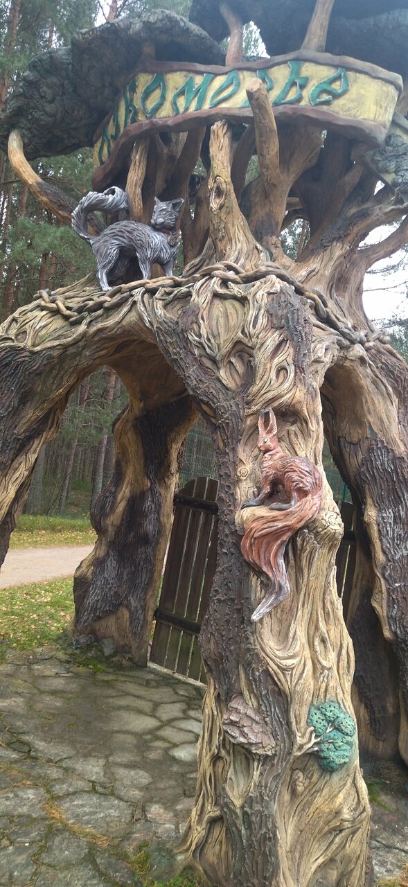 Гостиница Дюны Сестрорецк-249