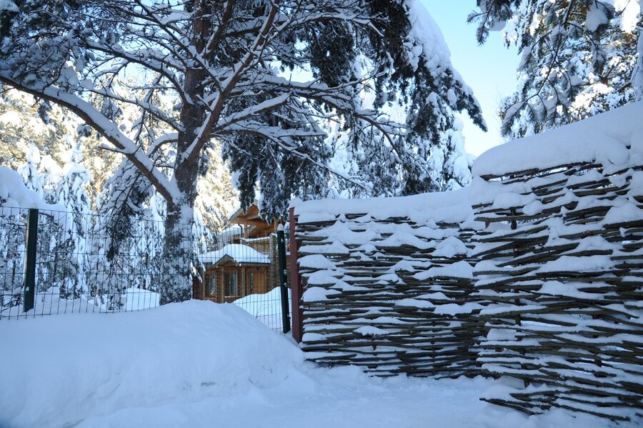 Гостиница Дюны Сестрорецк-32