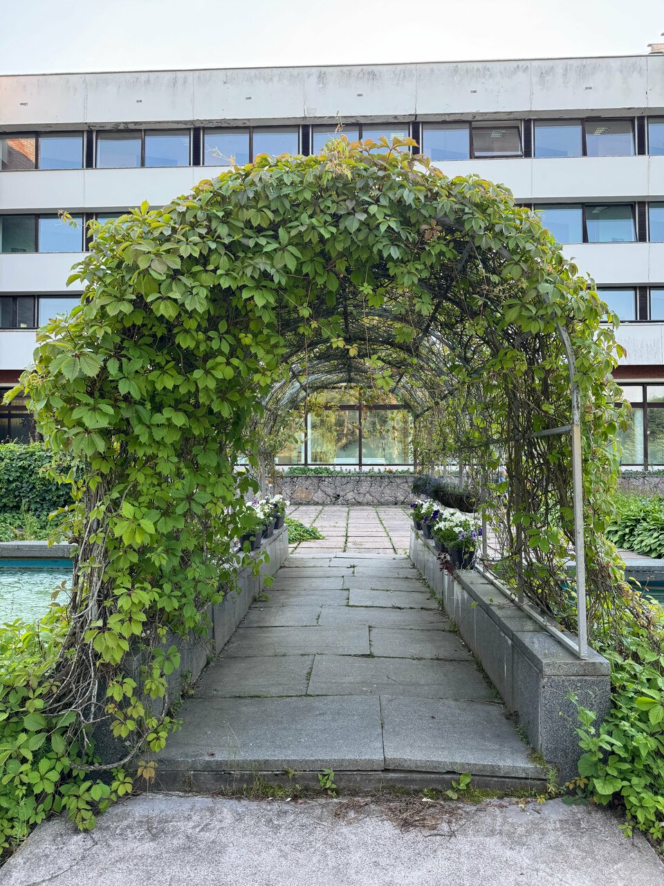 Гостиница Дюны Сестрорецк-134