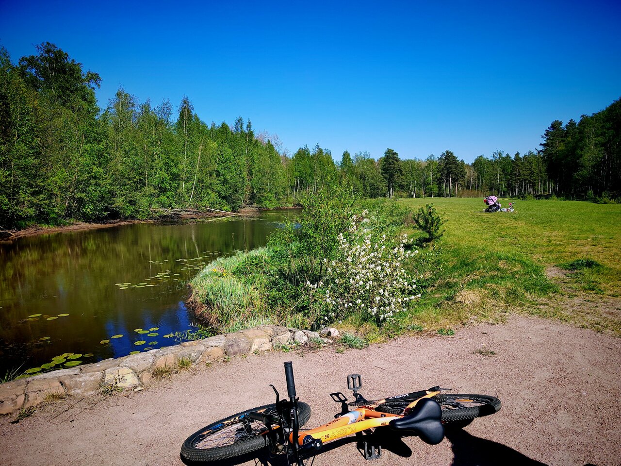 Гостиница Дюны Сестрорецк-120