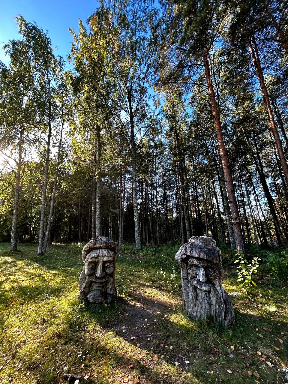 Гостиница Дюны Сестрорецк-246