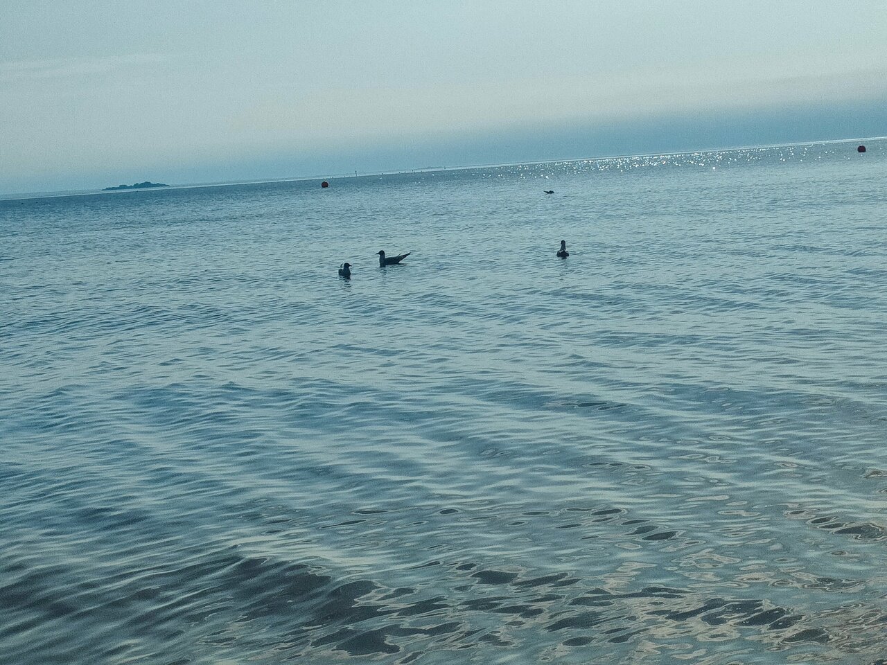 Гостиница Дюны Сестрорецк-157