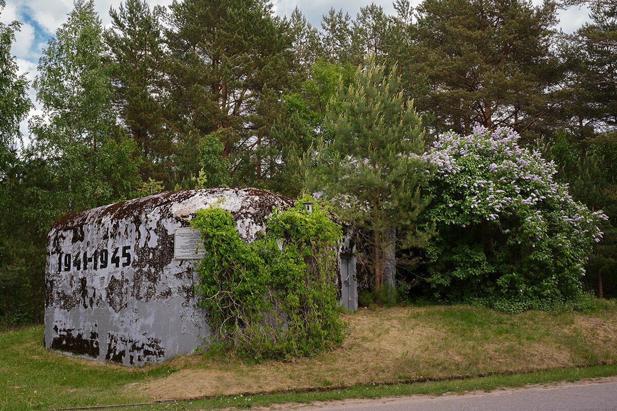 Гостиница Дюны Сестрорецк-69