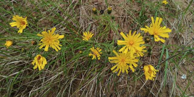 Гостиница Дюны Сестрорецк-126