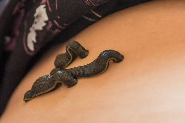 Гостиница Дюны Сестрорецк-48