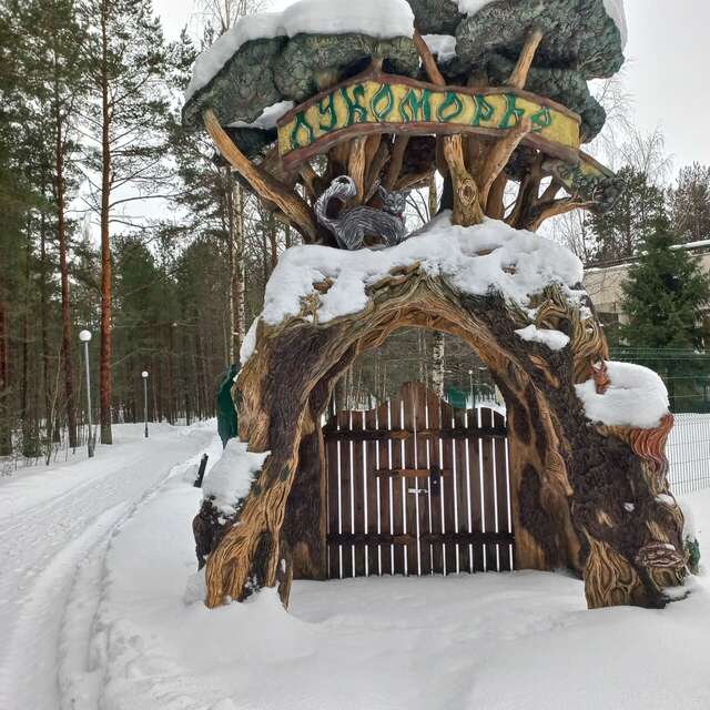 Гостиница Дюны Сестрорецк-176