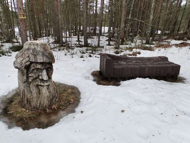 Гостиница Дюны Сестрорецк-162