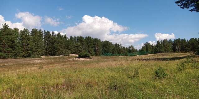 Гостиница Дюны Сестрорецк-185