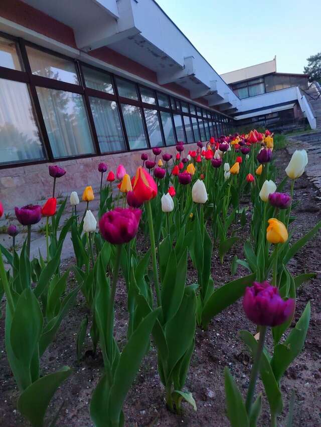 Гостиница Дюны Сестрорецк-114