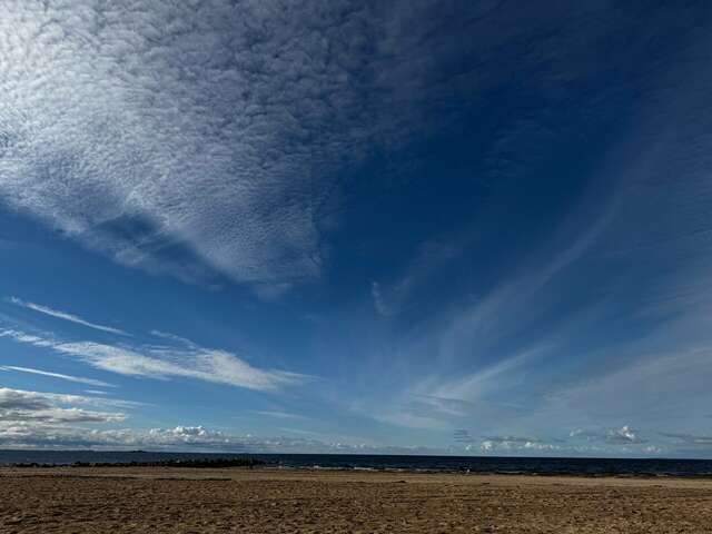 Гостиница Дюны Сестрорецк-249