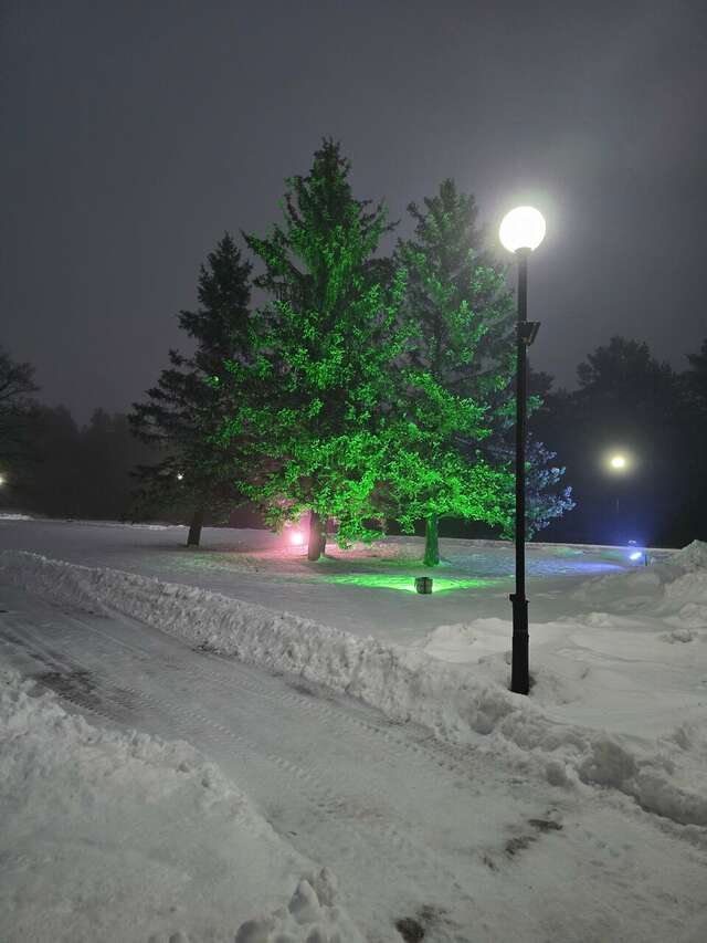 Гостиница Дюны Сестрорецк-171