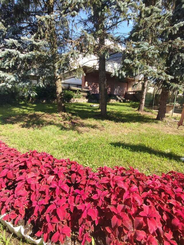 Гостиница Дюны Сестрорецк-150