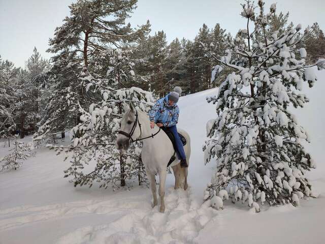 Гостиница Дюны Сестрорецк-130