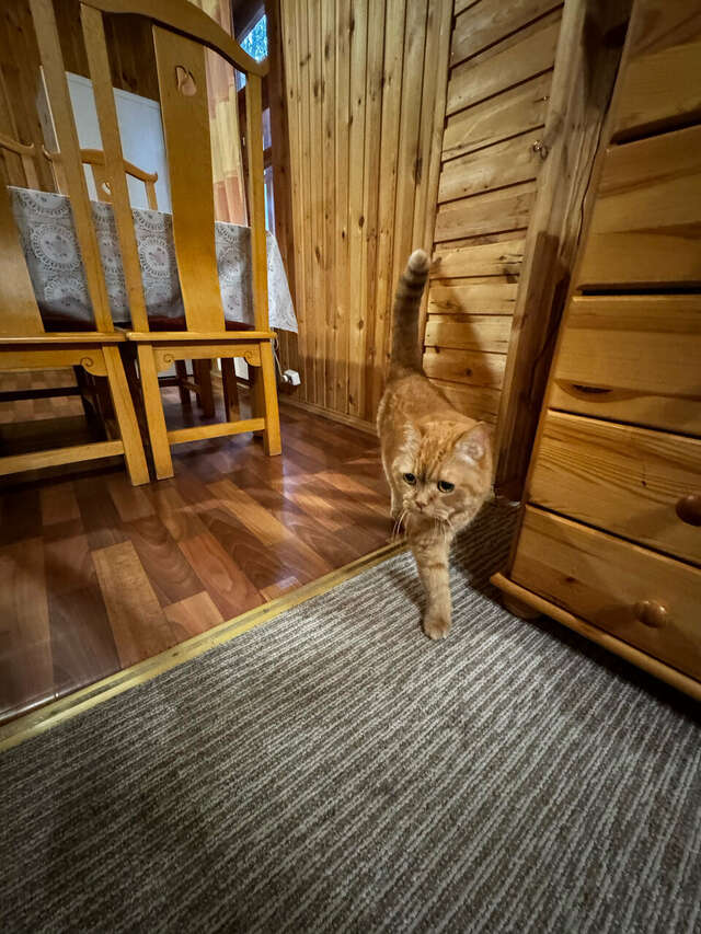 Гостиница Дюны Сестрорецк-202