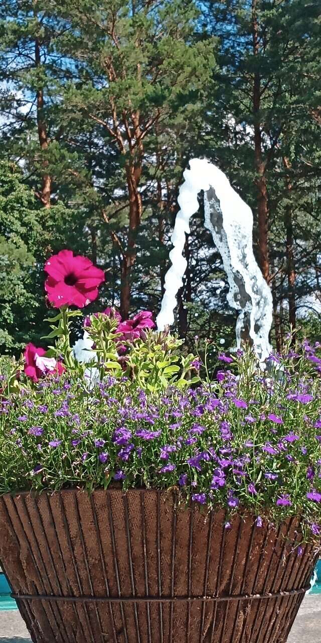 Гостиница Дюны Сестрорецк-177