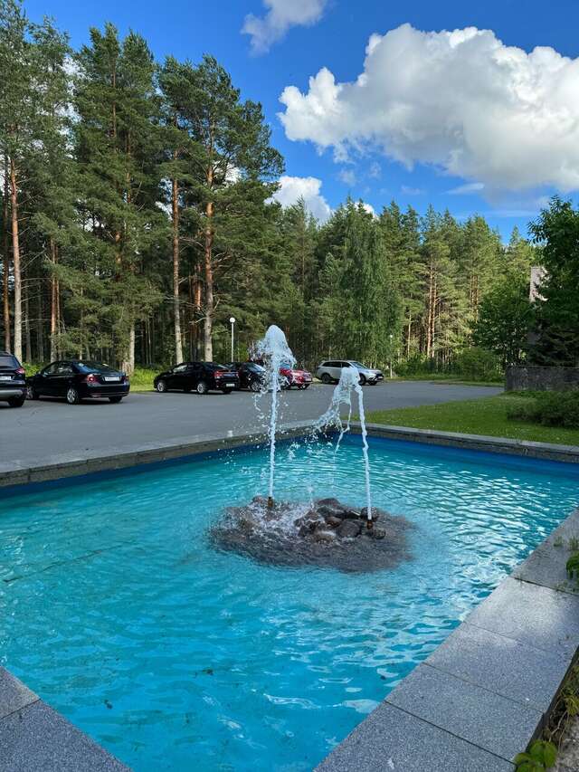 Гостиница Дюны Сестрорецк-218