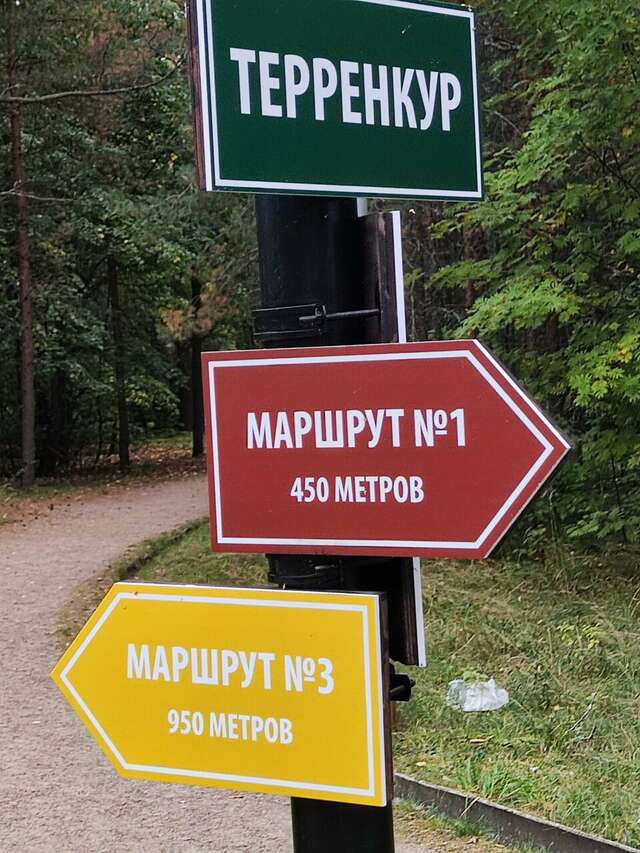 Гостиница Дюны Сестрорецк-147