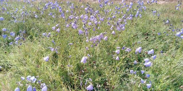 Гостиница Дюны Сестрорецк-146