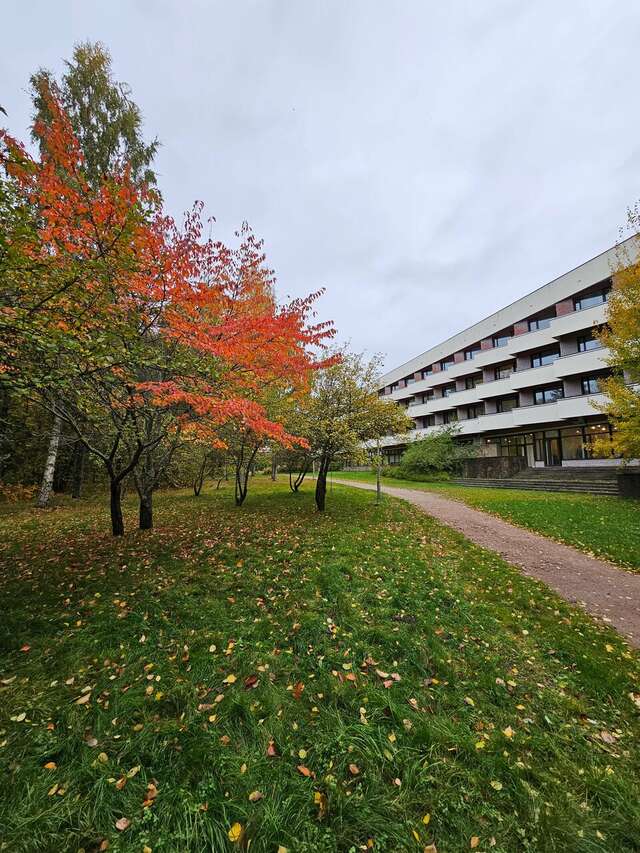 Гостиница Дюны Сестрорецк-178