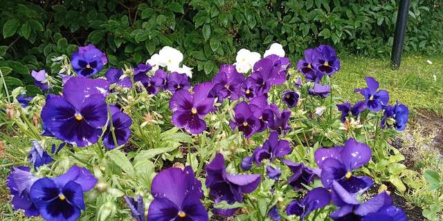 Гостиница Дюны Сестрорецк-167