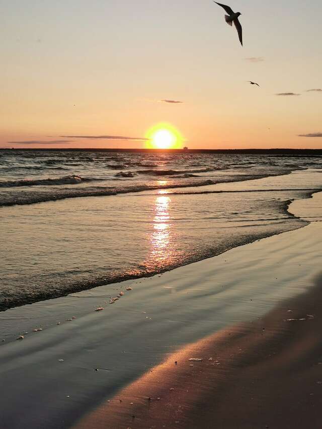 Гостиница Дюны Сестрорецк-148