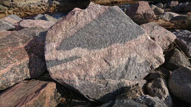 Гостиница Дюны Сестрорецк-212