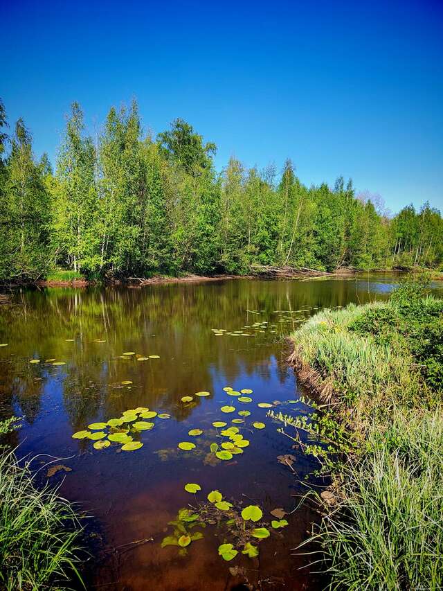 Гостиница Дюны Сестрорецк-219