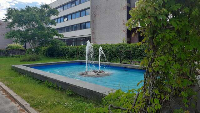 Гостиница Дюны Сестрорецк-235