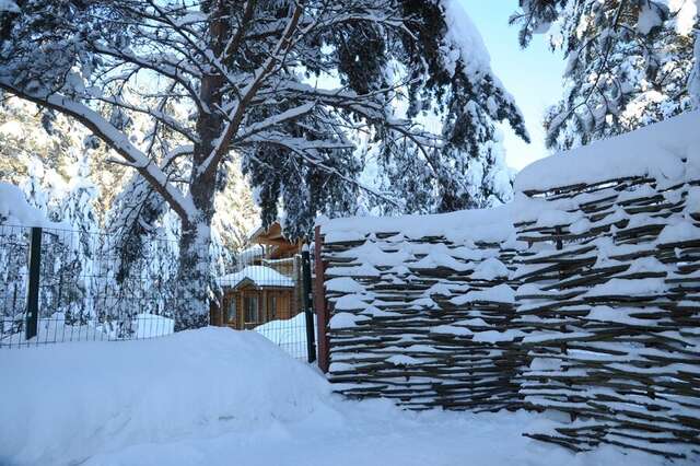 Гостиница Дюны Сестрорецк-31