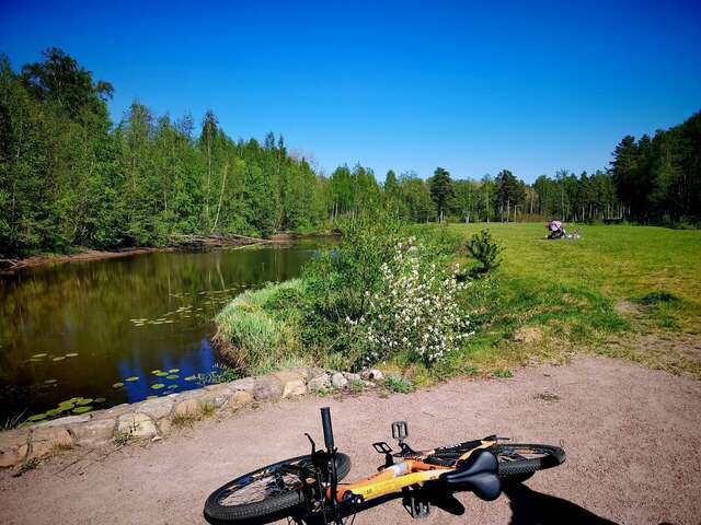 Гостиница Дюны Сестрорецк-119